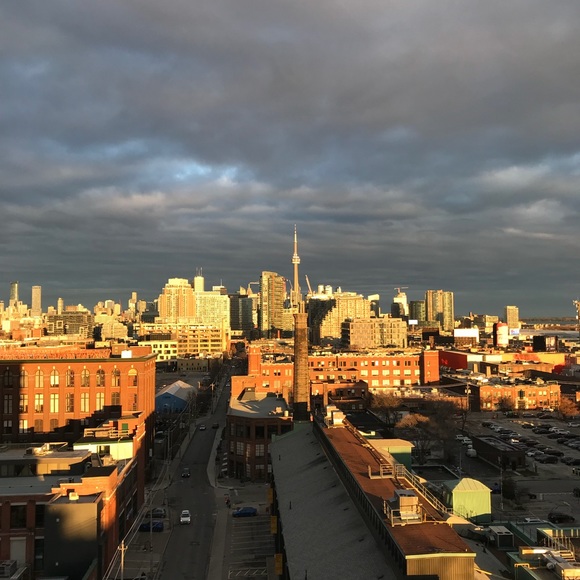 Meet your Posher, Dot. - Picture 6 of 16